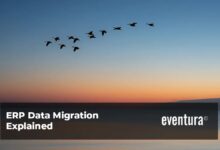 erp migration services