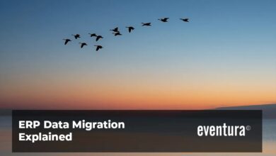 erp migration services
